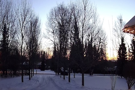 Driveway facing away from house