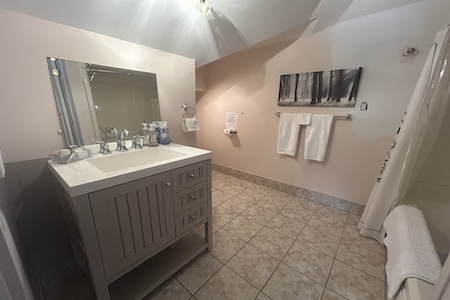 Tree top loft bathroom looking at sink